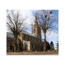 businessProfileImage