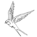 businessProfileImage