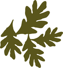 businessProfileImage