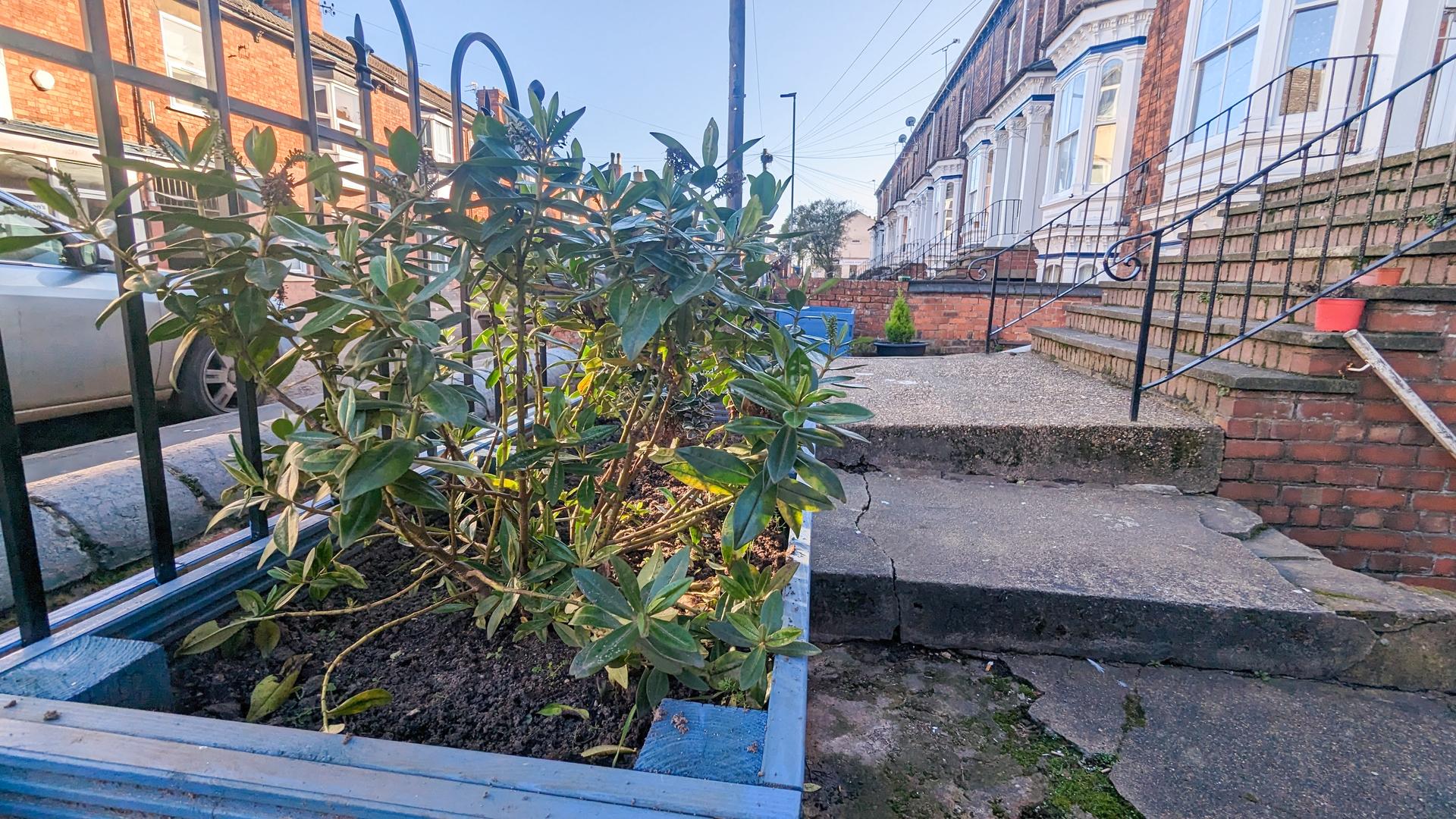 The Portland Street Community Gardening Project
