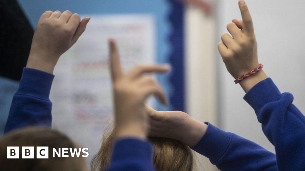 Education funding for children with Down's syndrome in doubt