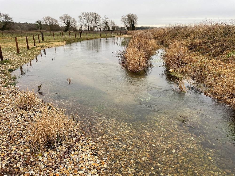 Last year we restored 430 metres of the Dunston Beck, creating 1.3 hectares of wetland habitat.
By reconnecting the Beck with its flood plain it is hoped that we will see an increase in fish and invertebrate populations.
#Lincolnshire