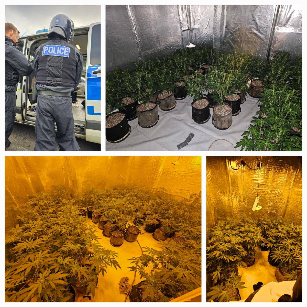 A misuse of drugs warrant was carried out on an address in Fox Street yesterday morning after concerns were raised by the local community. One person was arrested at the scene. Over 100 plants have been seized. #yousaidwedid #town