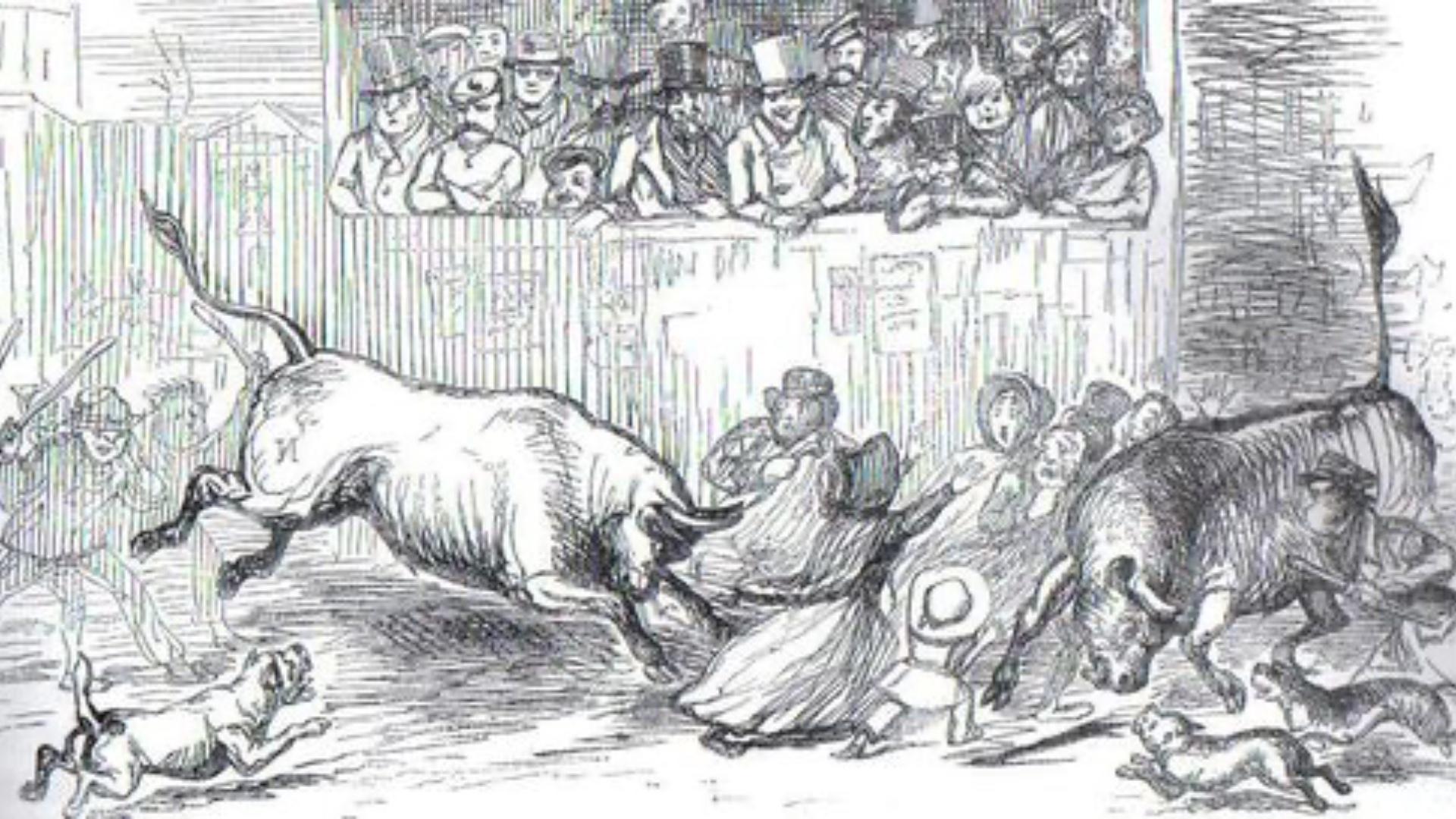 🐂 Stamford's historic bull running: A tradition rooted in the 13th century
