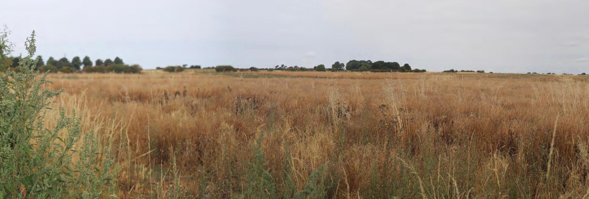 Plans for 400 new Grantham homes with sports pavilion and outdoor gym